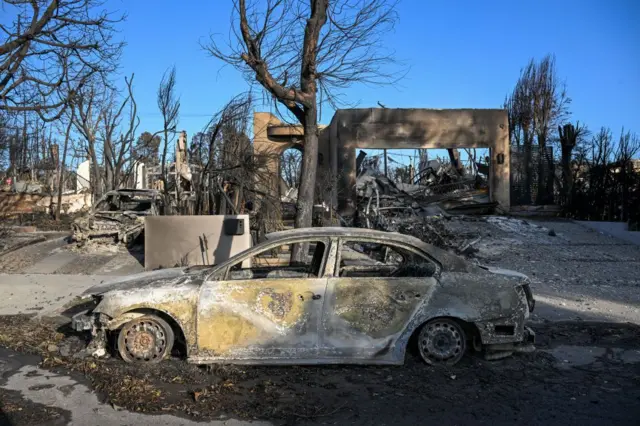 Los Angeles'ta Şiddetli Orman Yangınları Korkutuyor