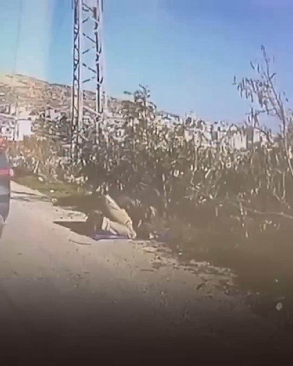 Batı Şeria'da Yol Kenarında Namaz Kılan Filistinli, İsrailli Yedek Asker Tarafından Ezildi