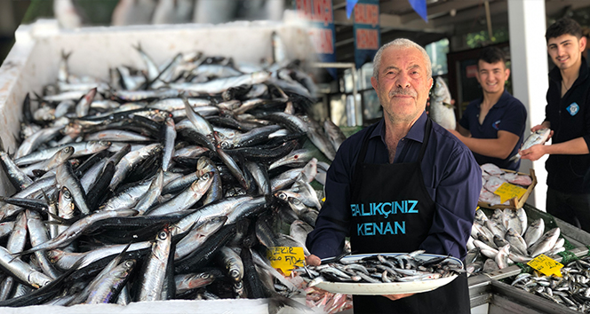 Beylikdüzü’nde Ramazan Bereketi: Balıkçı Kenan 3 Tır Ücretsiz Hamsi Dağıttı