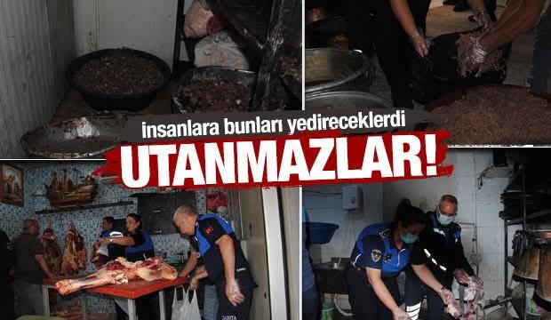 Şanlıurfa’da Şok Görüntü! Kasapta 1 Ton Kokmuş ve Bozuk Et Ele Geçirildi