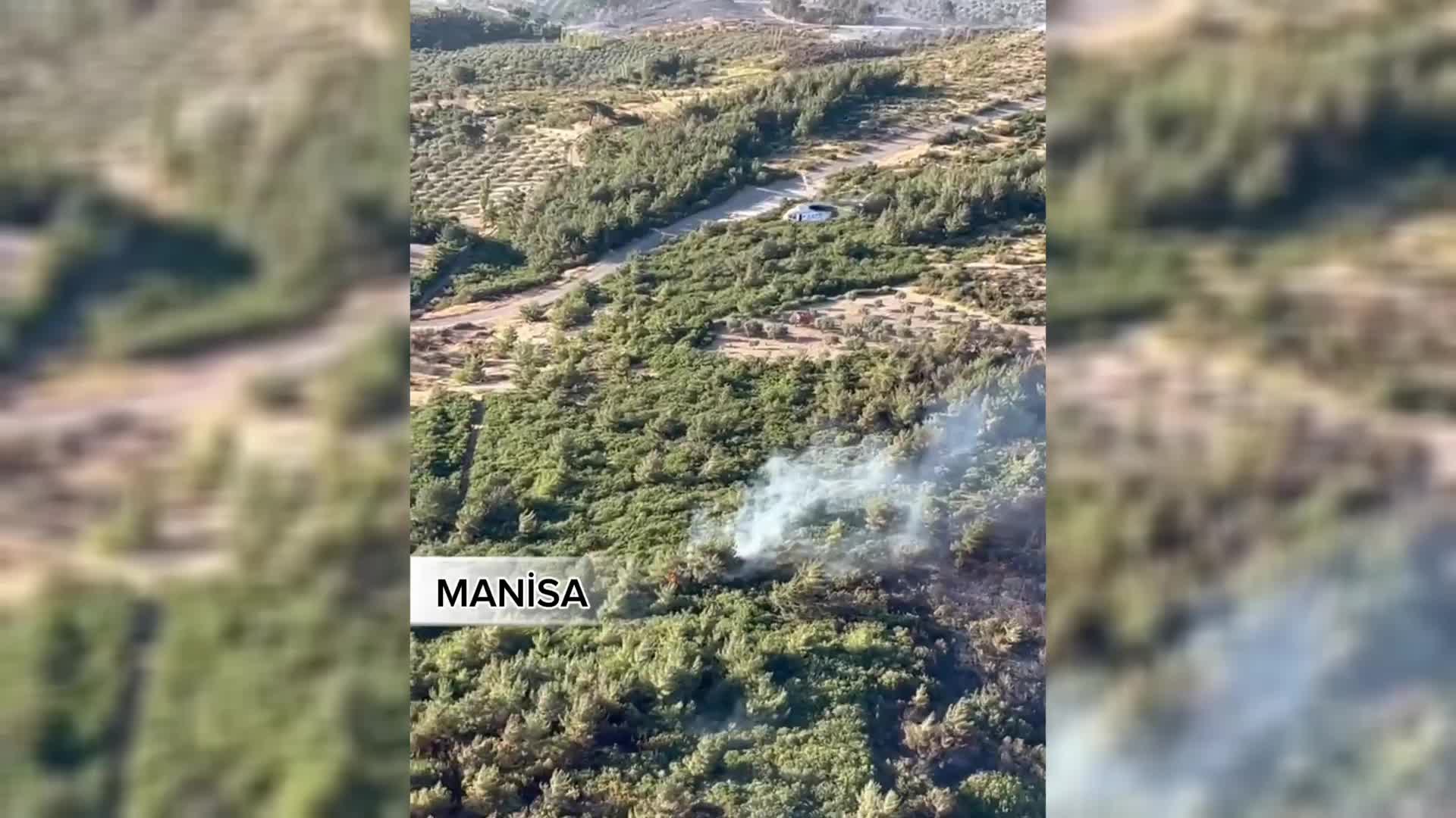 Tarım ve Orman Bakanı Yumaklı: "Manisa’daki orman yangını kontrol altına alındı"