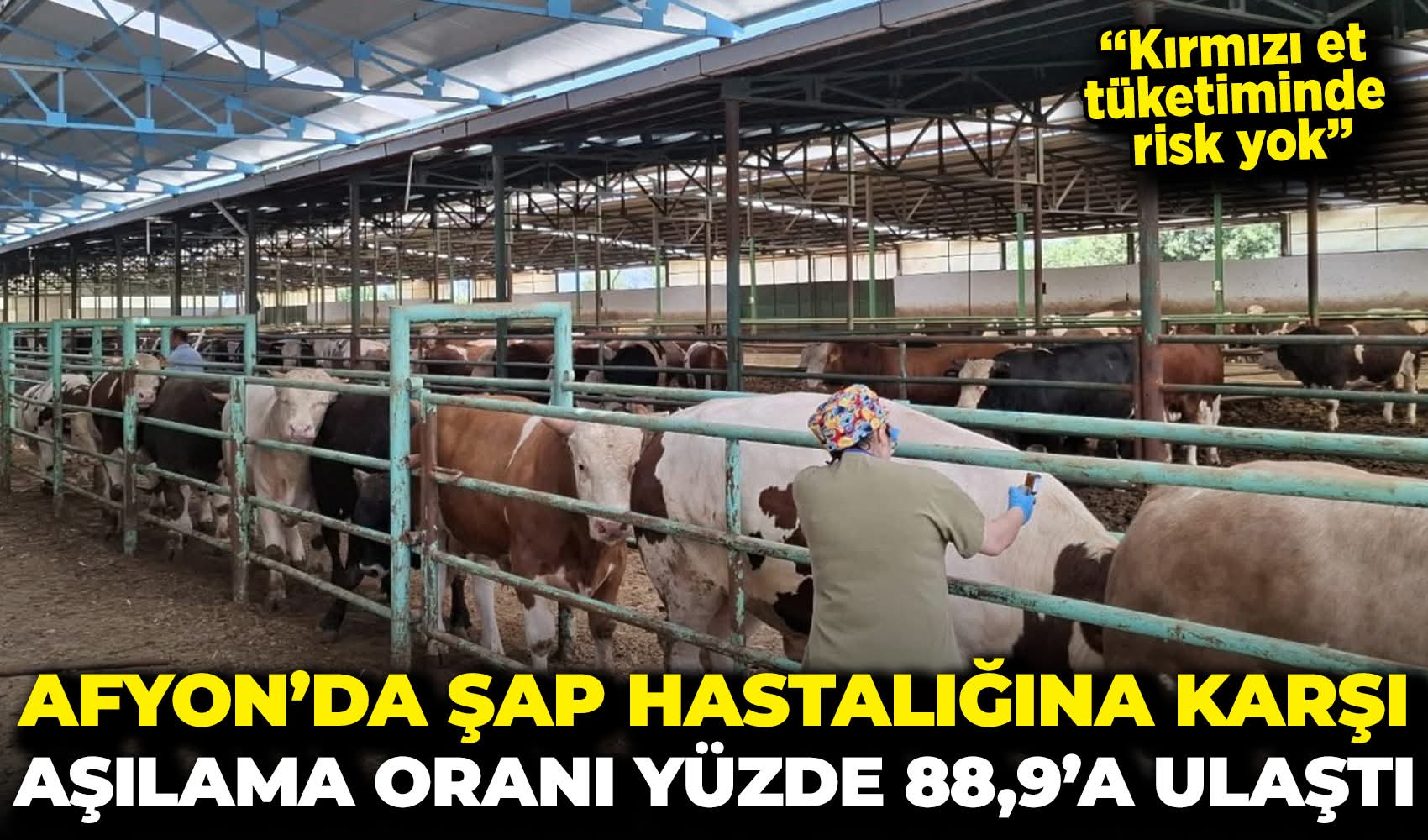 Yeniden Refah Partisi Afyon İl Başkanı Çakır’dan Şap Hastalığı Tepkisi: “Üretici Kan Ağlıyor”