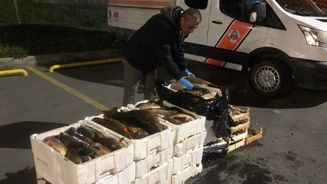 İstanbul’da Su Ürünleri Av Sezonu Sona Erdi: Gürpınar Hali’nde Denetimler Sıklaştı