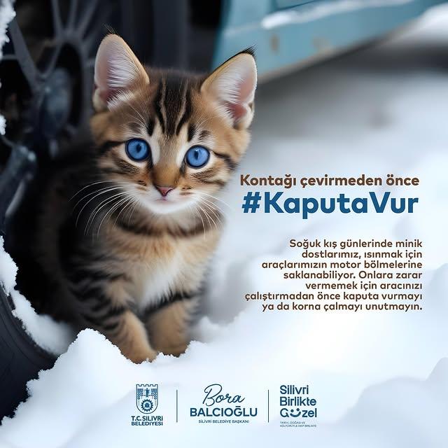 Soğuk Kış Günlerinde Minik Dostlarımızı Koruyun: "Kaputa Vur" Uyarısı