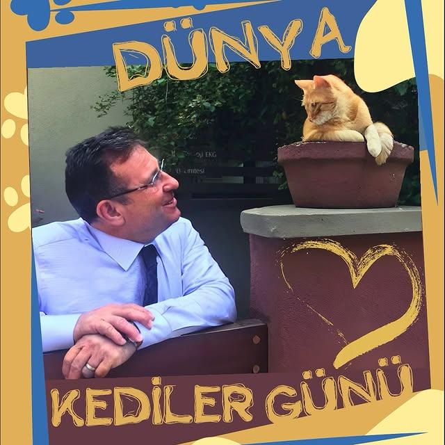 Dünya Kediler Günü Sarıyer'de Coşkuyla Kutlanıyor