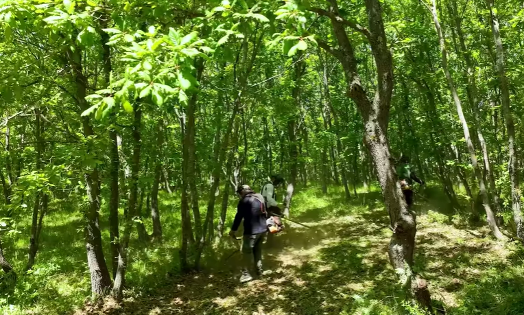 Esenyurt Belediyesi Danamandıra Tabiat Parkı Yaz Sezonuna Hazır