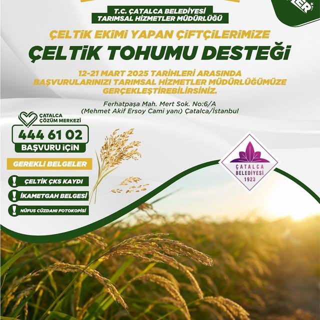 Çatalca Belediyesinden Çiftçilere Çeltik Tohumu Desteği
