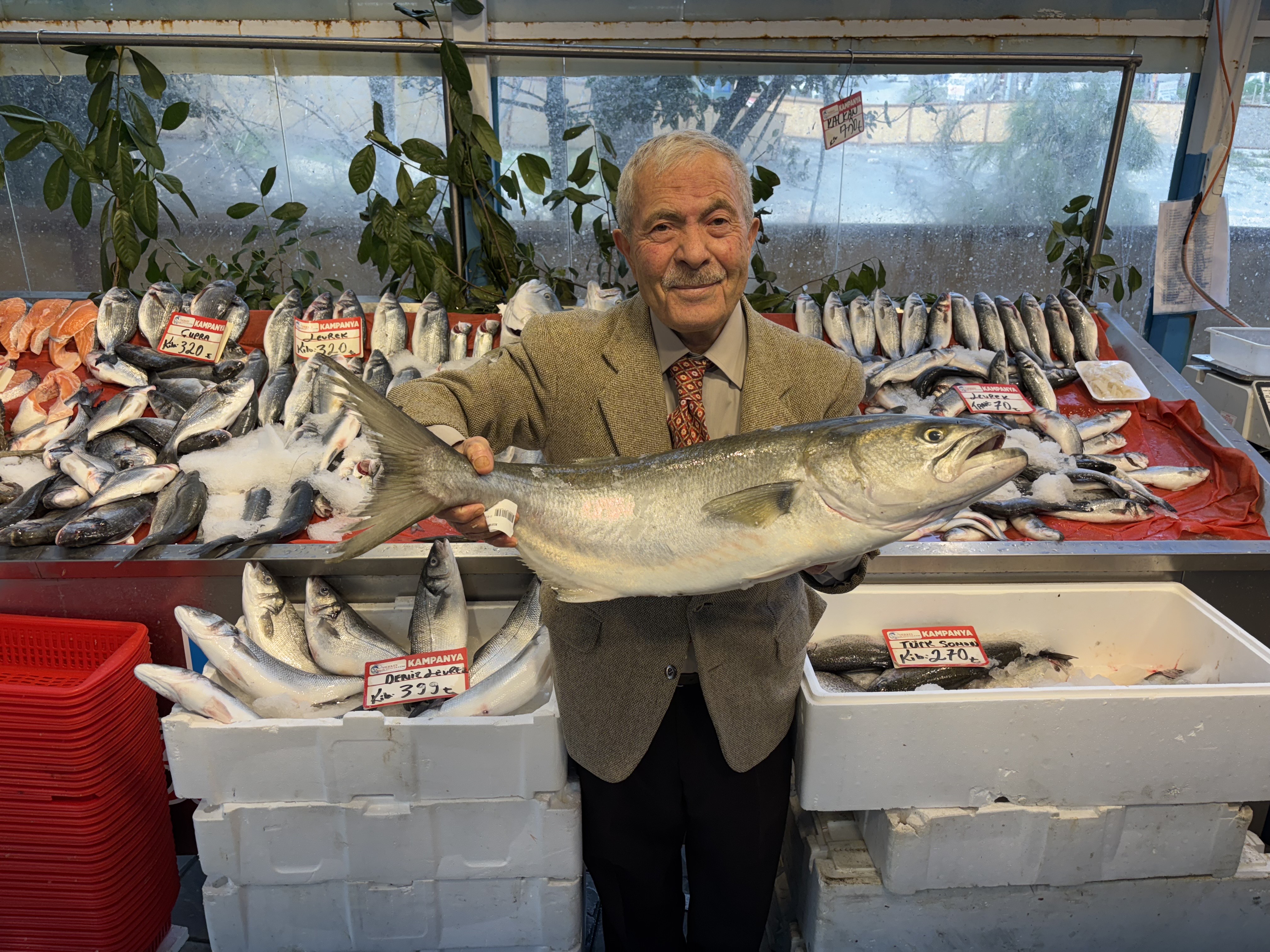 3 Kilo Sardalya Yada İstavrit Alana Bir Kilosu Bedava 