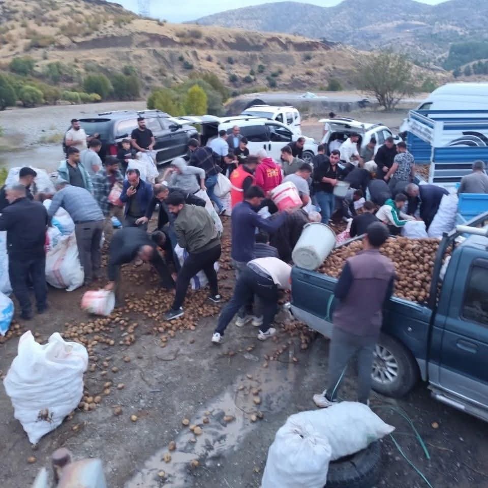 Siirt’te Patates Yüklü Kamyonet Arızalandı: Sürücü Patatesleri Ücretsiz Dağıttı